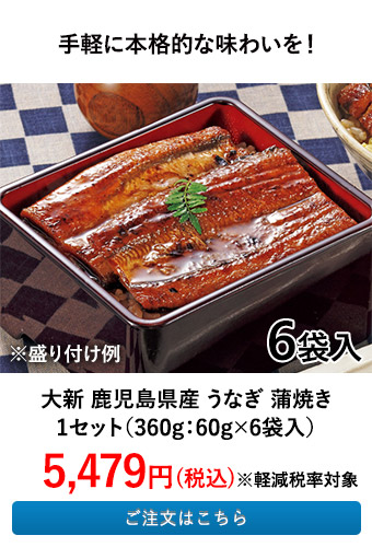 大新 鹿児島県産 うなぎ 蒲焼き 1セット（360g：60g×6袋入）