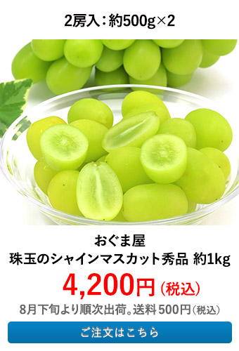 おぐま屋 珠玉のシャインマスカット秀品 約1kg
