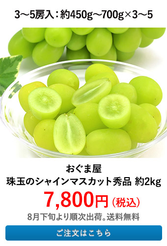 おぐま屋 珠玉のシャインマスカット秀品 約2kg