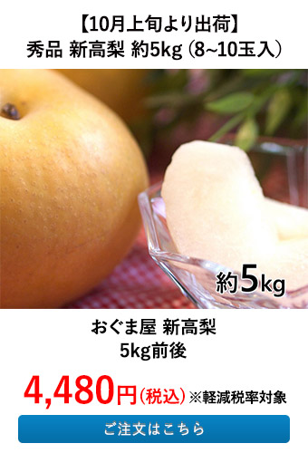 おぐま屋 新高梨　5kg前後
