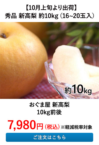 おぐま屋 新高梨　10kg前後