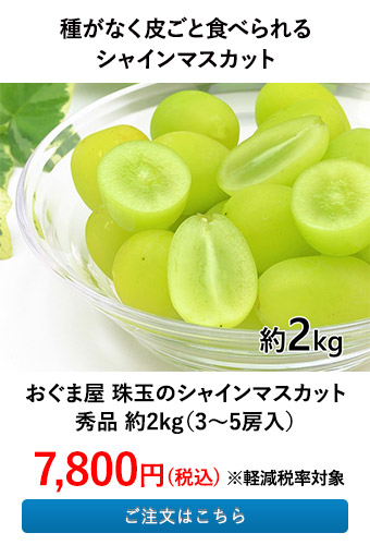 おぐま屋 珠玉のシャインマスカット秀品 約2kg