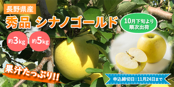 【10月下旬より順次出荷】長野産 秀品シナノゴールド