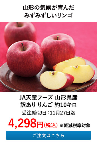 JA天童フーズ 山形県産 訳あり リンゴ 約10キロ