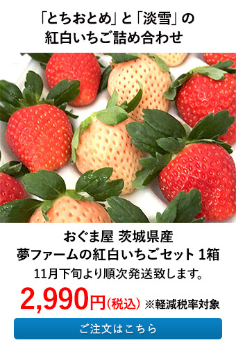 おぐま屋 茨城県産 夢ファームの紅白いちごセット1箱