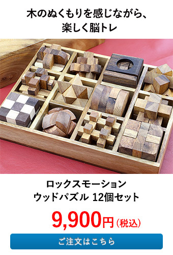 ロックスモーション ウッドパズル 12個セット