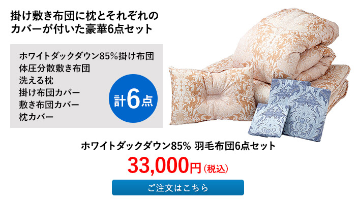 ホワイトダックダウン85% 羽毛布団6点セット