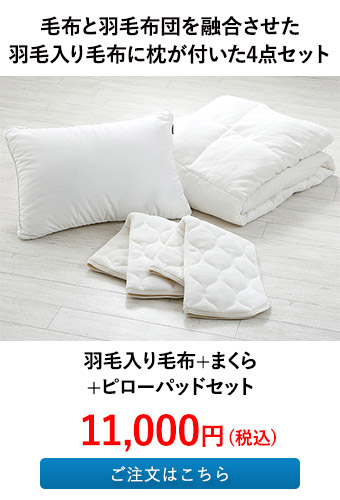 羽毛入り毛布+まくら+ピローパッドセット