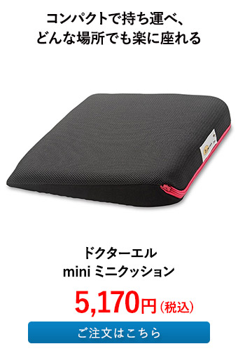 ドクターエル mini ミニクッション