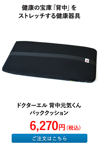 ドクターエル 背中元気くん バッククッション