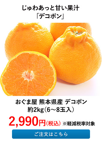 おぐま屋 熊本県産 デコポン 2kg