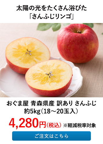 おぐま屋 青森県産 訳あり さんふじ 5kg