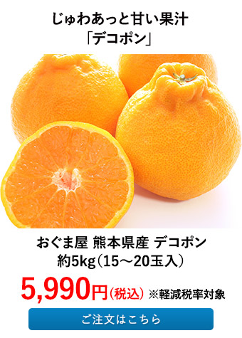 おぐま屋 熊本県産 デコポン 5kg