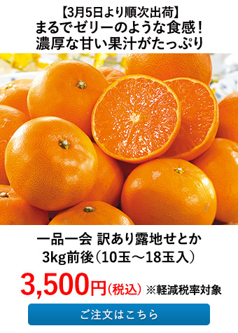 一品一会 訳あり露地せとか 3kg前後