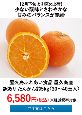 屋久島ふれあい食品 屋久島産 訳あり たんかん 約5kg