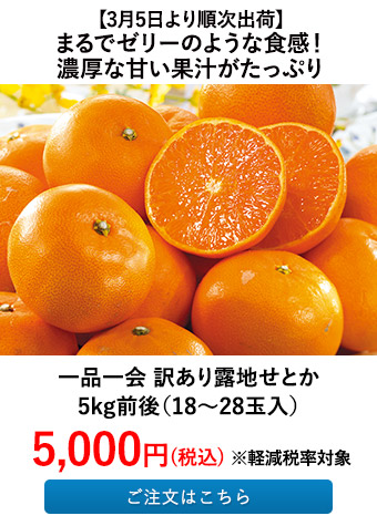 一品一会 訳あり露地せとか 5kg前後