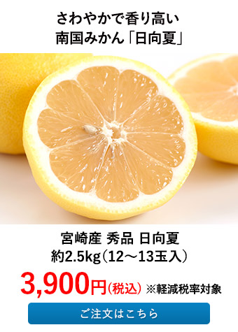 宮崎産 秀品 日向夏 約2.5kg