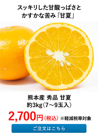 熊本産 秀品 甘夏 約3kg