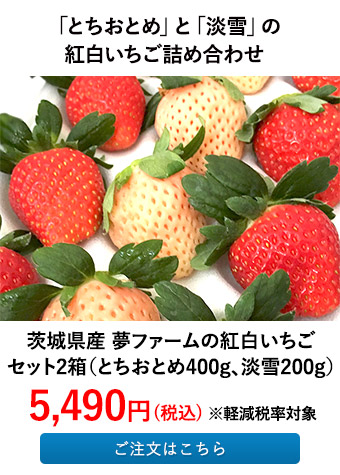 茨城県産 夢ファームの紅白いちごセット2箱