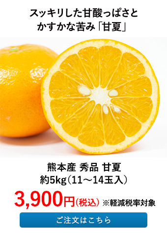 熊本産 秀品 甘夏 約5kg