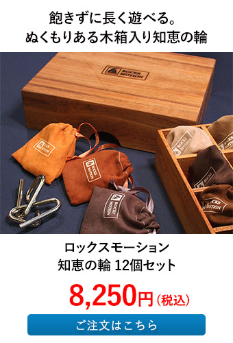 ロックスモーション 知恵の輪 12個セット