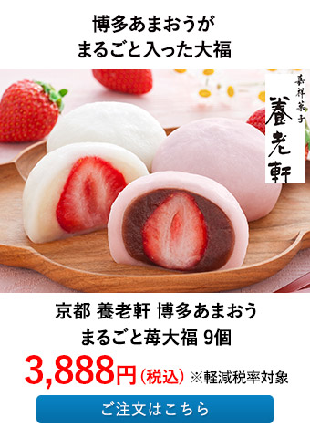 京都 養老軒 博多あまおう まるごと苺大福 9個