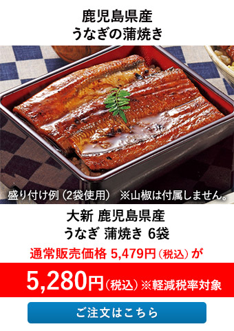 大新 鹿児島県産 うなぎ 蒲焼き 6袋