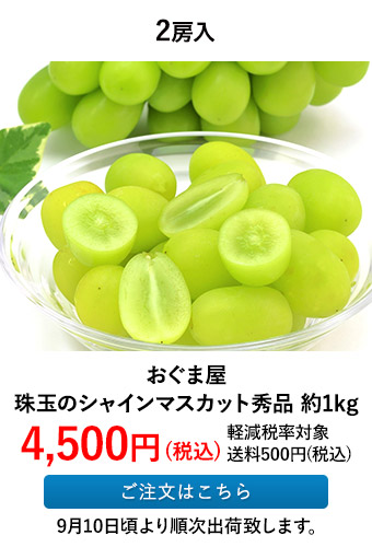 おぐま屋 珠玉のシャインマスカット秀品 約1kg