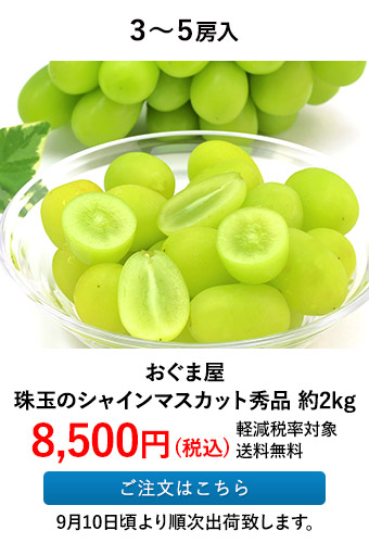 おぐま屋 珠玉のシャインマスカット秀品 約2kg