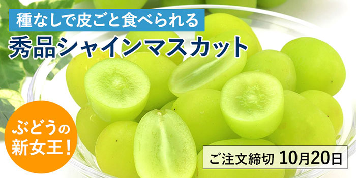 ご注文締切10月20日(水)まで！珠玉のシャインマスカット