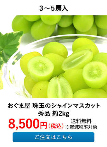 おぐま屋 珠玉のシャインマスカット秀品 約2kg