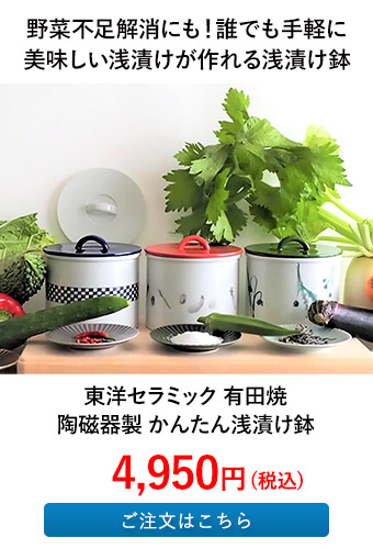 東洋セラミック 有田焼 陶磁器製 かんたん浅漬け鉢