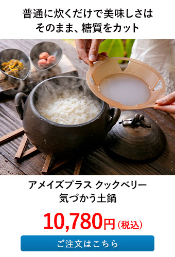 アメイズプラス クックベリー 気づかう土鍋