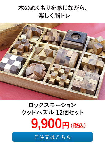 ロックスモーション ウッドパズル 12個セット