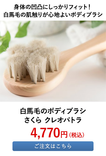 白馬毛のボディブラシ さくら クレオパトラ 