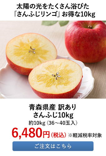 太陽の光をたくさん浴びた「さんふじリンゴ」お得な10kg 
