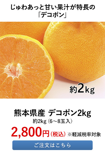 熊本県産 デコポン2kg