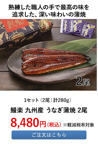 鰻楽 九州産 うなぎ蒲焼 2尾