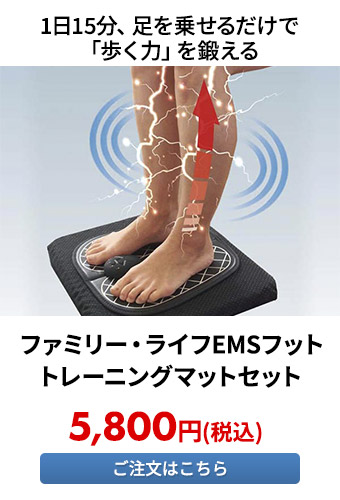 ファミリー・ライフ EMSフットトレーニングマットセット