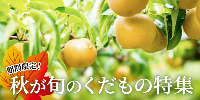 【期間限定】お得な大容量種無し柿や梨など旬のくだものをお届け