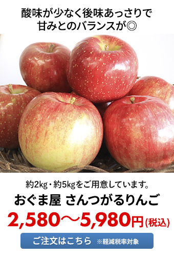 おぐま屋 サンつがるりんご	