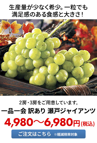 一品一会 訳あり 瀬戸ジャイアンツ