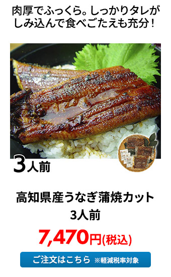 高知県産うなぎ蒲焼カット 3人前