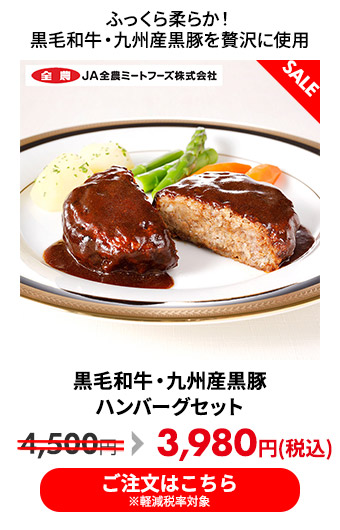 黒毛和牛・九州産黒豚ハンバーグセット
