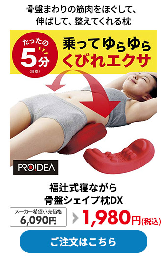 福辻式寝ながら骨盤シェイプ枕DX 