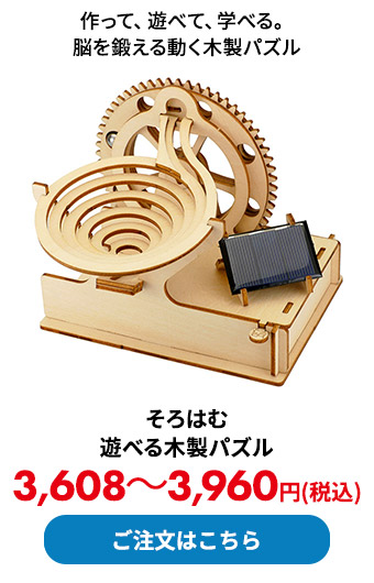 そろはむ 遊べる木製パズル