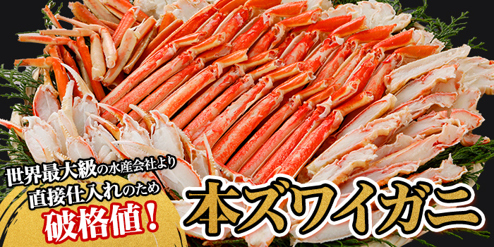 【本ズワイガニ】世界最大級の水産会社より直接仕入れのため破格値！