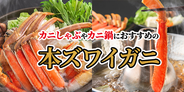 【本ズワイガニ】カニしゃぶやカニ鍋におすすめ