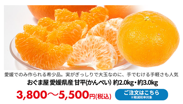 おぐま屋 愛媛県産 甘平(かんぺい）約2.0kg・約3.0kg