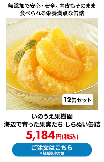 いのうえ果樹園 海辺で育った果実たち しらぬい缶詰 12缶セット